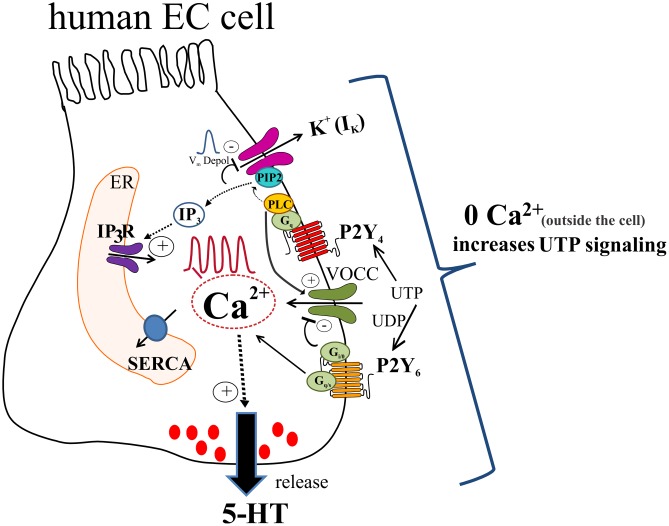 FIGURE 14