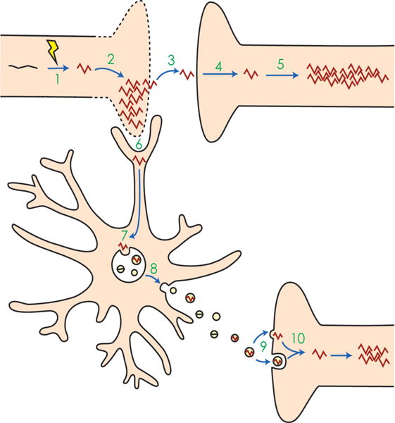 Fig. 3