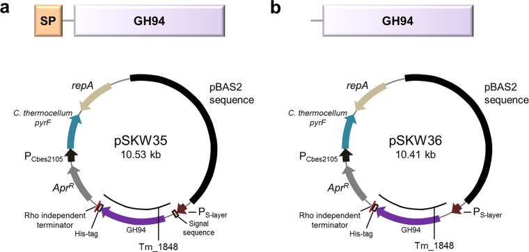 FIG 1