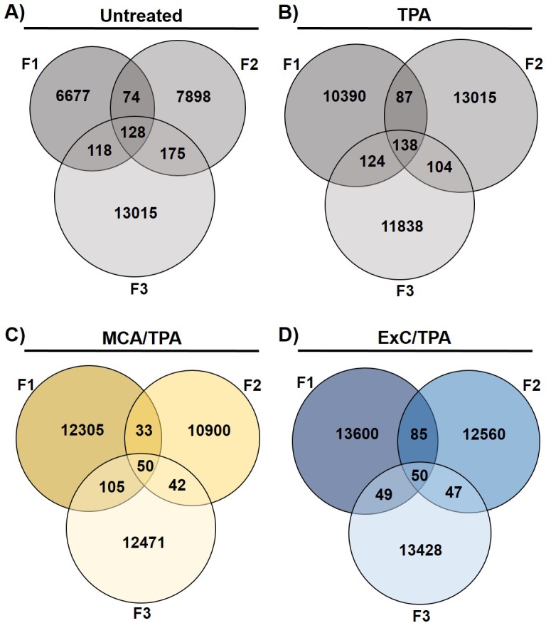 Figure 5—figure supplement 1.