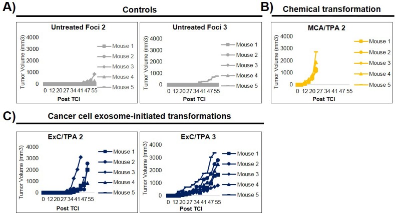 Figure 3—figure supplement 2.