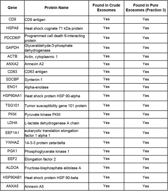 Figure 1—figure supplement 2.