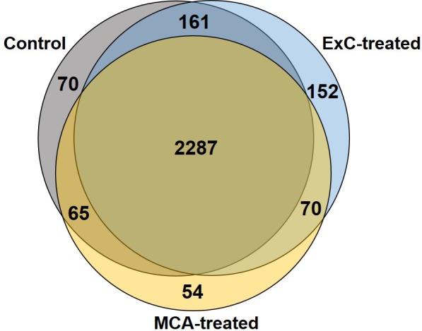 Figure 4—figure supplement 1.