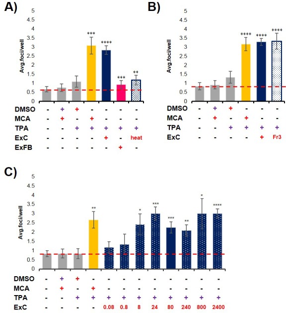 Figure 2—figure supplement 1.