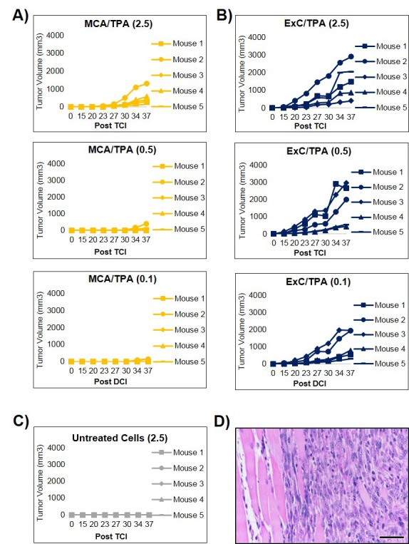 Figure 3—figure supplement 1.