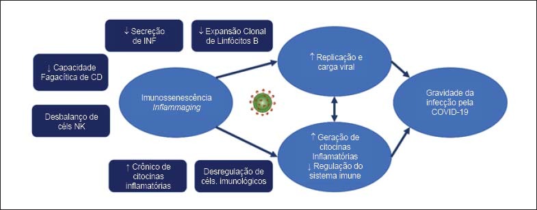 Figura 2