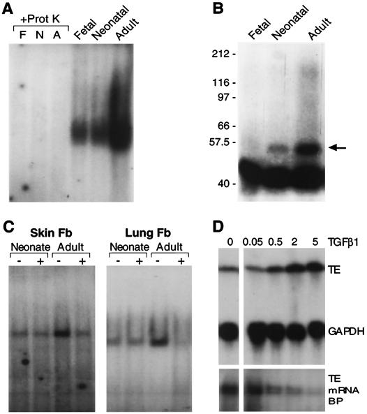 FIG. 8