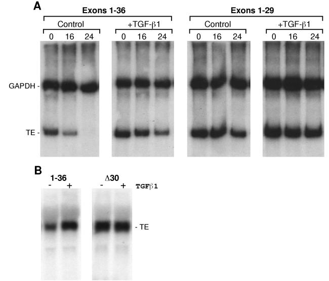 FIG. 7