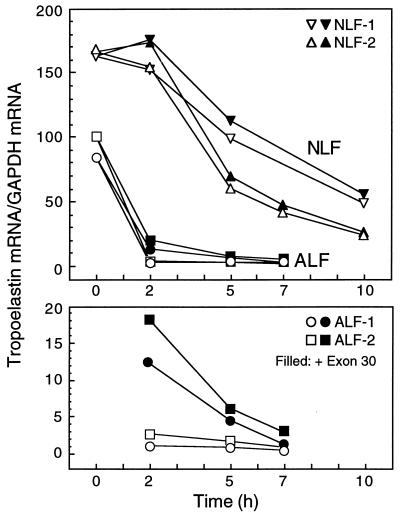 FIG. 6