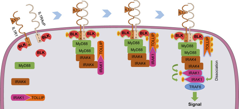 Figure 9.