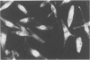 201
