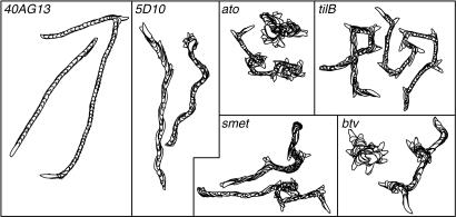 Fig. 3.