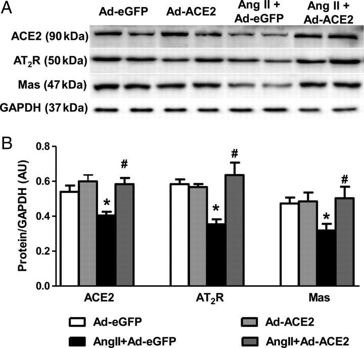 Figure 5