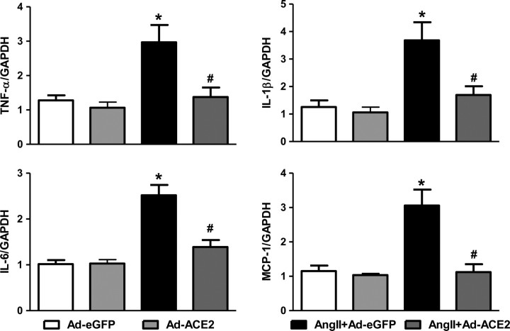 Figure 6