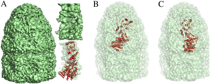 Fig 9