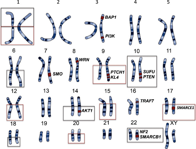 Familial Syndromes Involving Meningiomas Provide Mechanistic Insight ...