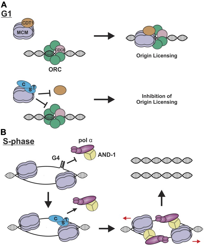 Figure 7.