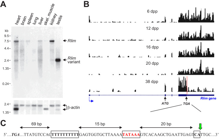 Figure 1.