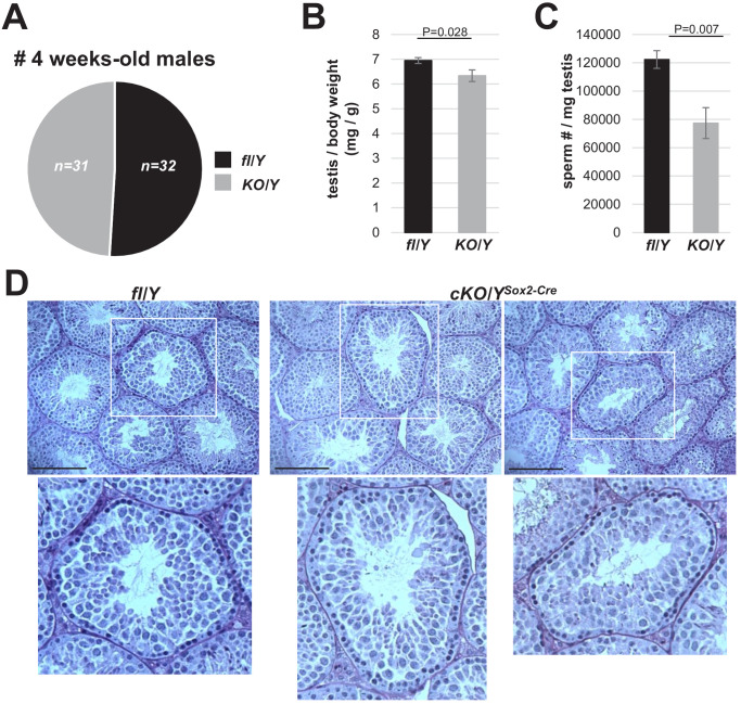 Figure 3—figure supplement 1.