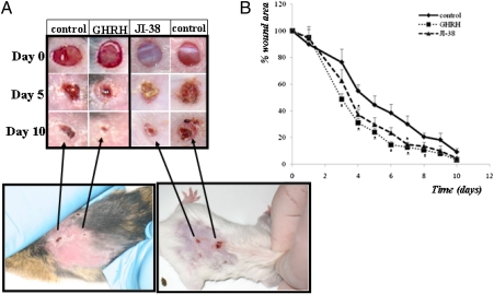Fig. 4.