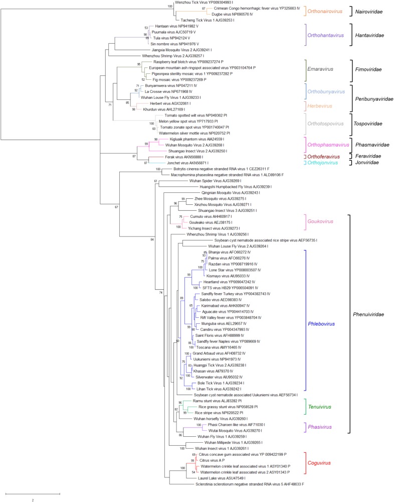 FIGURE 4