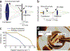 Figure 1 |