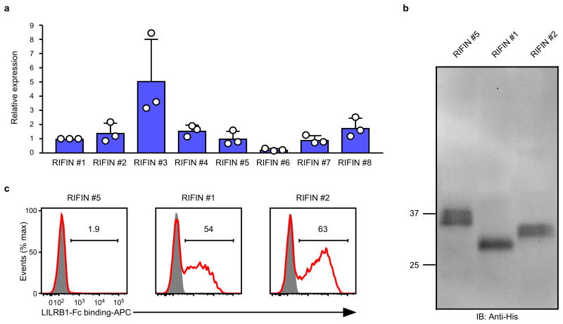 Extended Data Figure 5