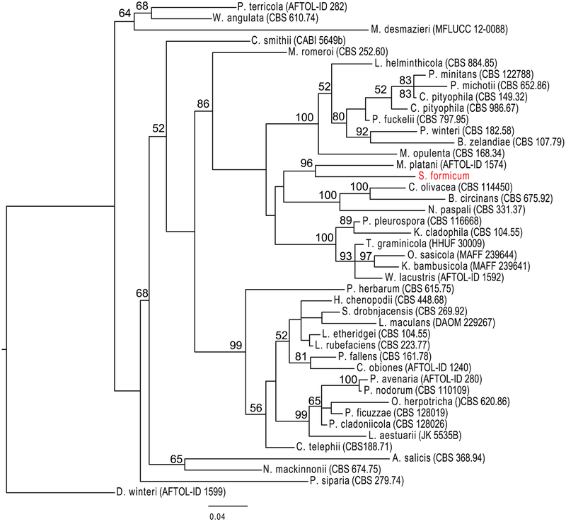 Figure 1.