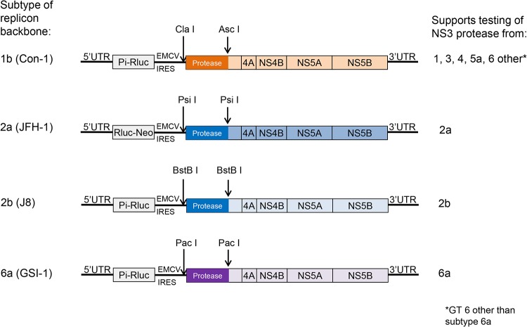 FIG 1