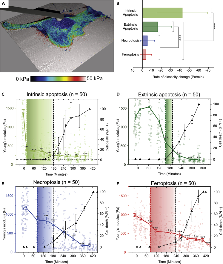 Figure 3