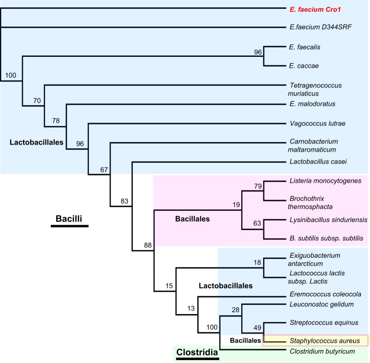 FIG 2 