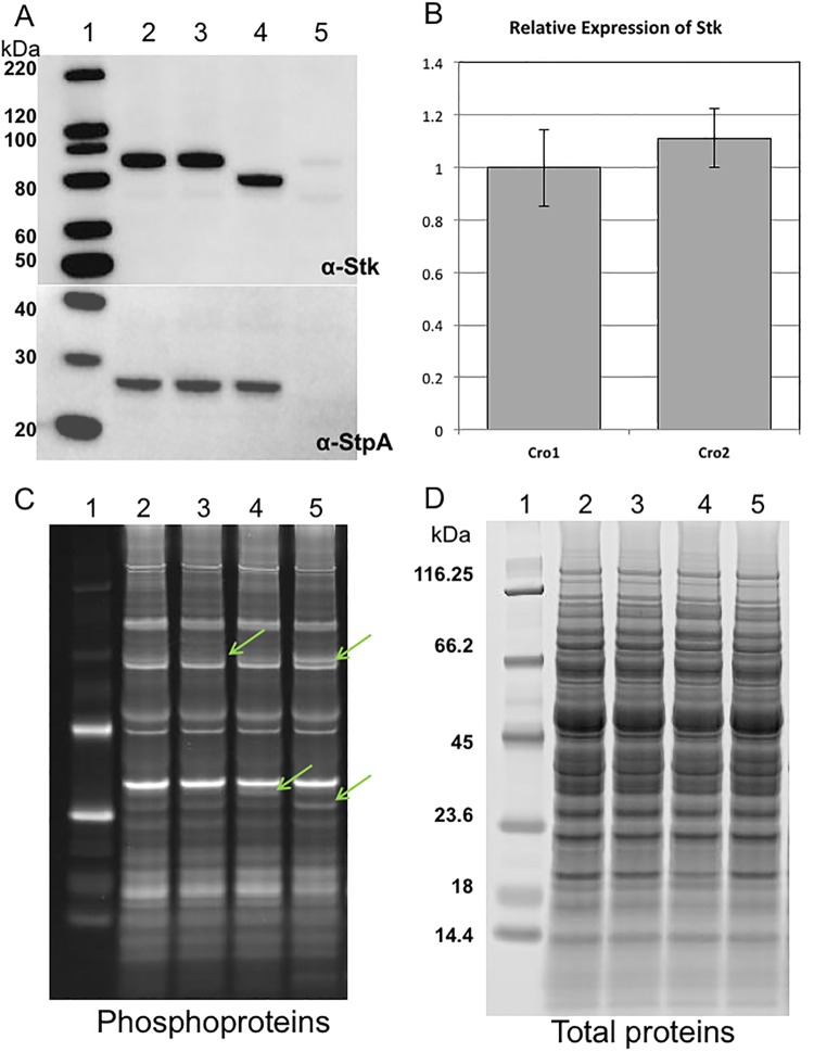 FIG 1 