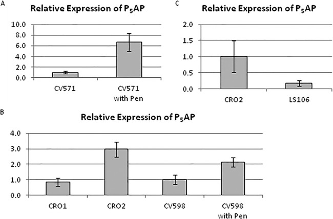 FIG 3 