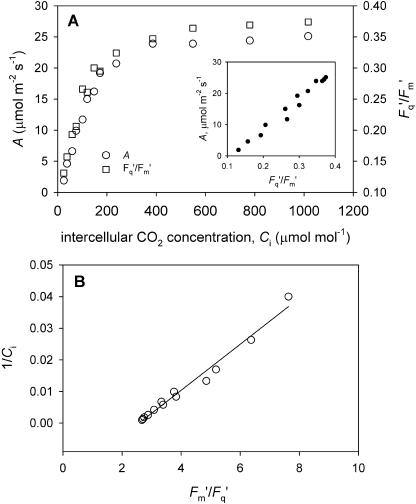 Figure 11.