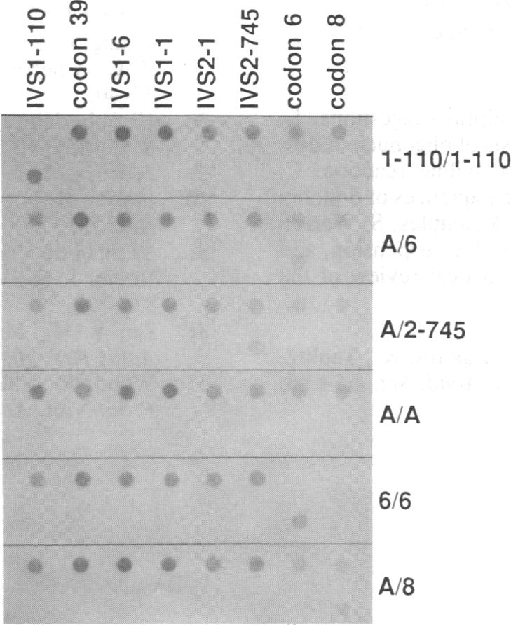 graphic file with name pnas00283-0230-d.jpg