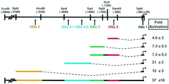 FIG. 2.