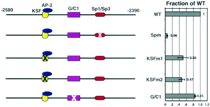 FIG. 6.