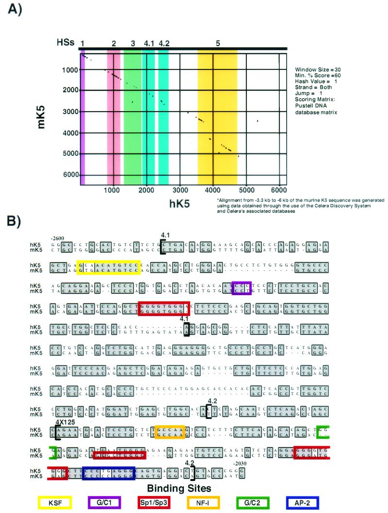 FIG.4.