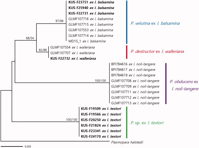 Figure 1.