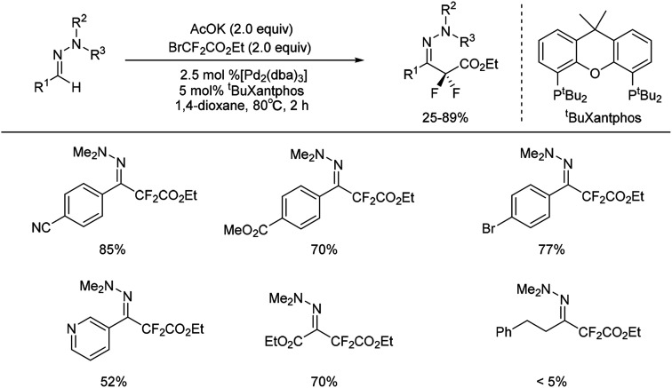 Scheme 5