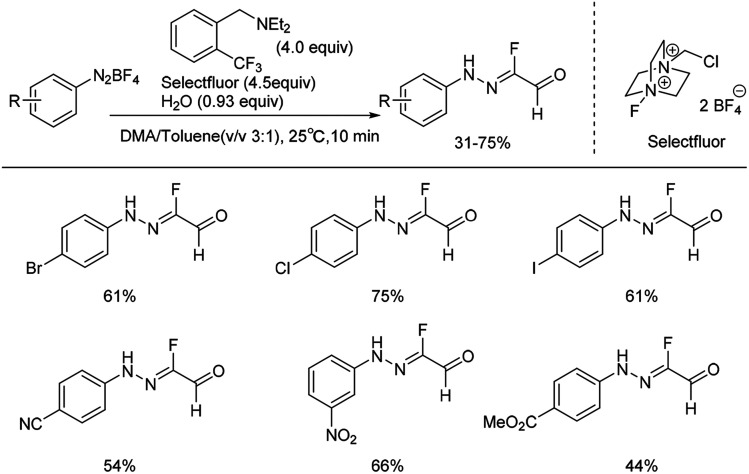 Scheme 3