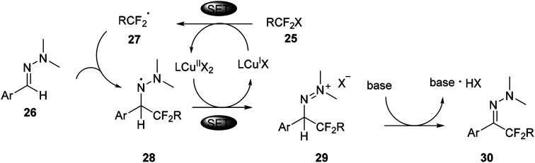 Scheme 8