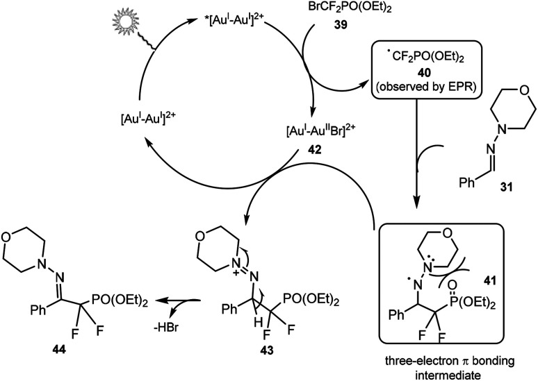 Scheme 12