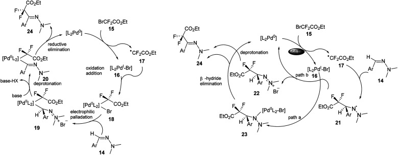 Scheme 6