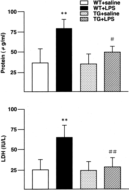 Figure 2-4240