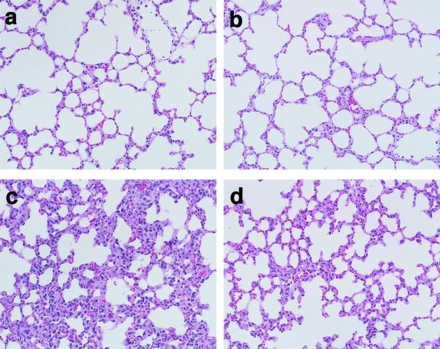 Figure 1-4240