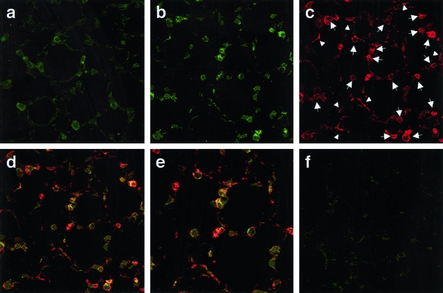 Figure 4-4240