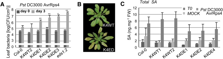 Figure 6.