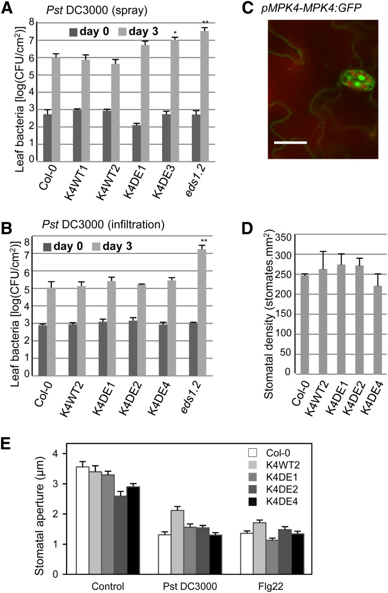 Figure 4.