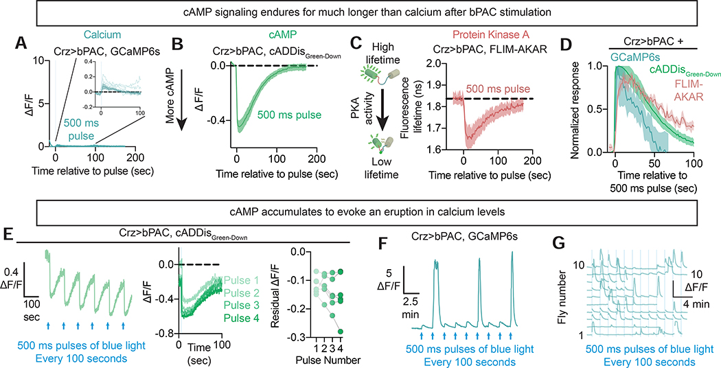 Figure 4: